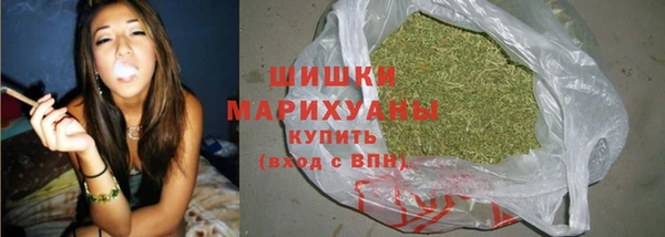 PSILOCYBIN Беломорск