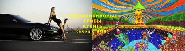 PSILOCYBIN Беломорск