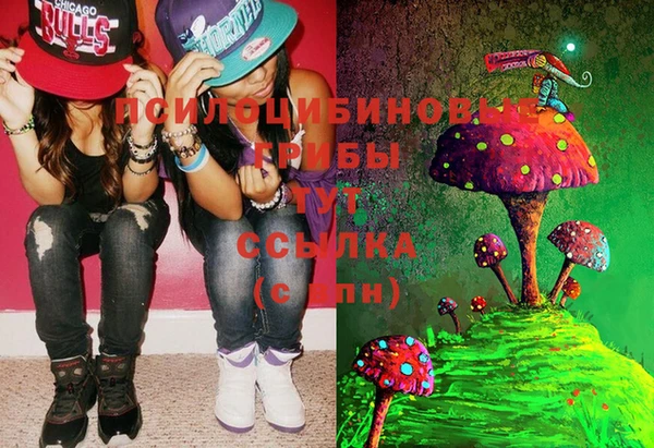 PSILOCYBIN Беломорск