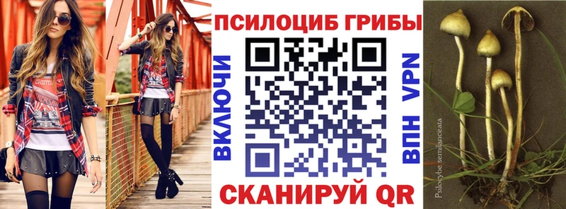Галлюциногенные грибы Cubensis  Малая Вишера 